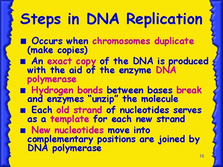 Steps in DNA Replication Occurs when chromosomes duplicate (make copies) An exact copy of