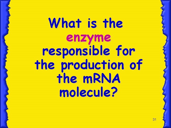 What is the enzyme responsible for the production of the m. RNA molecule? 31