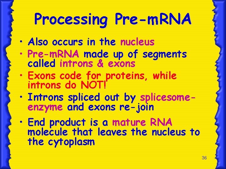 Processing Pre-m. RNA • Also occurs in the nucleus • Pre-m. RNA made up
