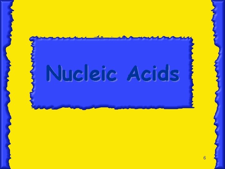 Nucleic Acids 6 