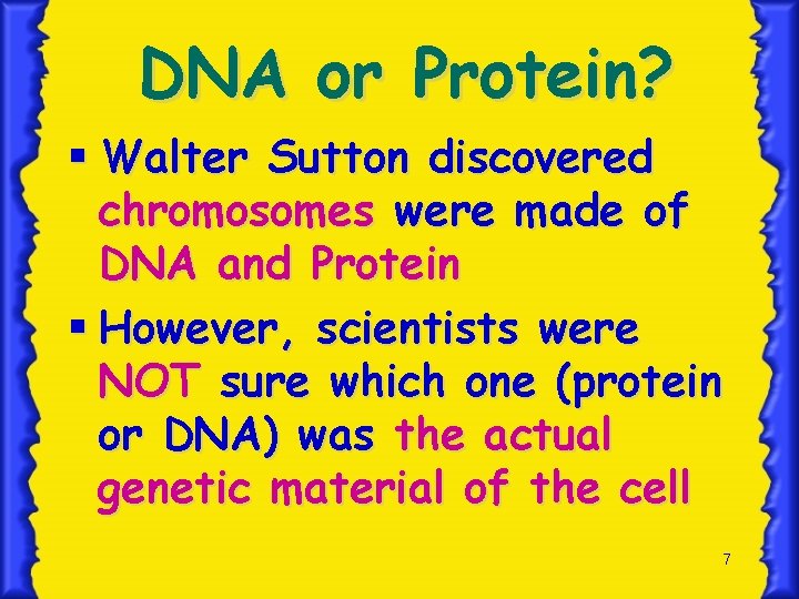 DNA or Protein? § Walter Sutton discovered chromosomes were made of DNA and Protein