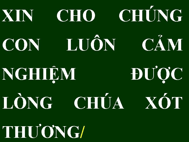 XIN CON CHO CHÚNG LUÔN NGHIỆM LÒNG CHÚA THƯƠNG/ CẢM ĐƯỢC XÓT 