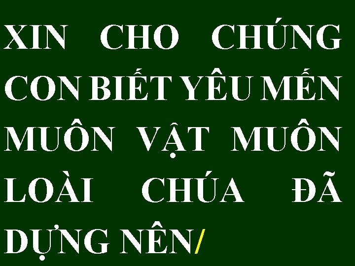 XIN CHO CHÚNG CON BIẾT YÊU MẾN MUÔN VẬT MUÔN LOÀI CHÚA ĐÃ DỰNG XIN CHO CHÚNG CON BIẾT YÊU MẾN MUÔN VẬT MUÔN LOÀI CHÚA ĐÃ DỰNG