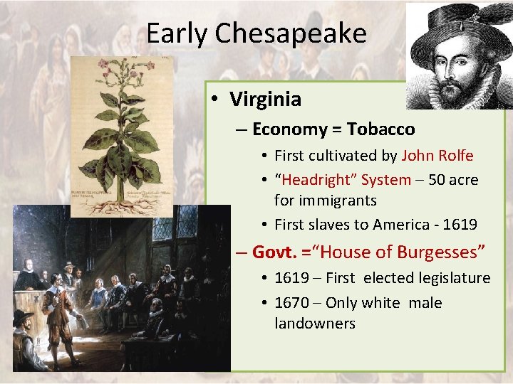 Early Chesapeake • Virginia – Economy = Tobacco • First cultivated by John Rolfe