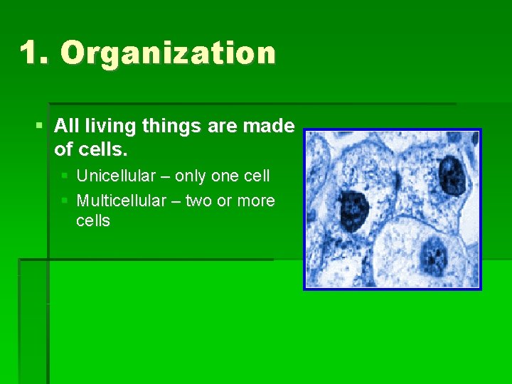 1. Organization All living things are made of cells. Unicellular – only one cell