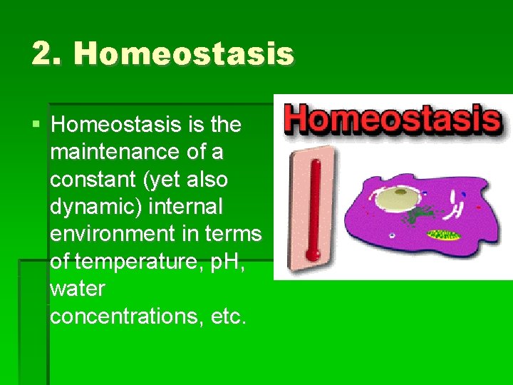 2. Homeostasis is the maintenance of a constant (yet also dynamic) internal environment in