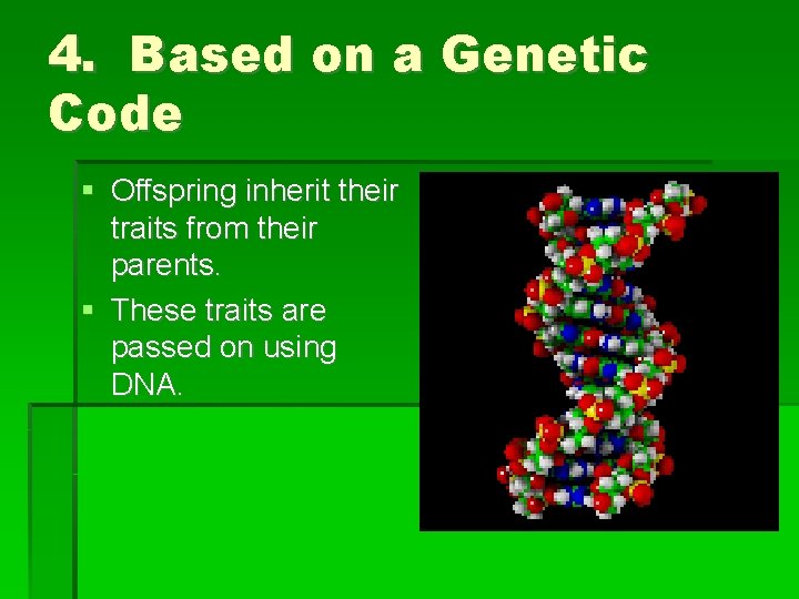 4. Based on a Genetic Code Offspring inherit their traits from their parents. These