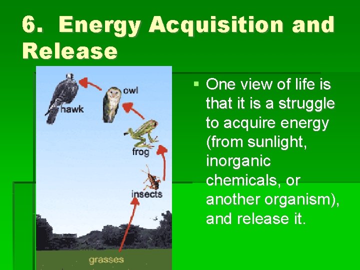 6. Energy Acquisition and Release One view of life is that it is a