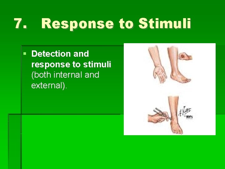 7. Response to Stimuli Detection and response to stimuli (both internal and external). 