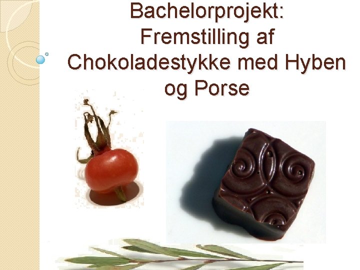 Bachelorprojekt: Fremstilling af Chokoladestykke med Hyben og Porse 