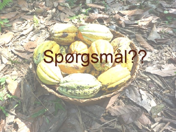 Spørgsmål? ? 