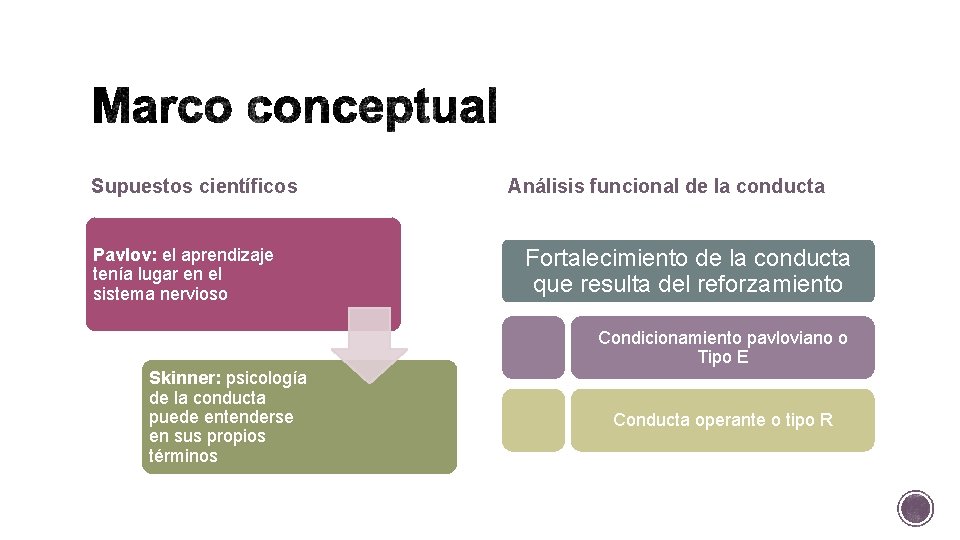 Supuestos científicos Pavlov: el aprendizaje tenía lugar en el sistema nervioso Análisis funcional de Supuestos científicos Pavlov: el aprendizaje tenía lugar en el sistema nervioso Análisis funcional de