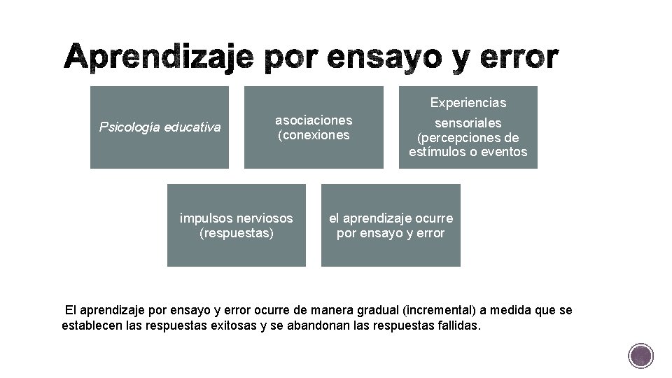 Experiencias Psicología educativa asociaciones (conexiones impulsos nerviosos (respuestas) sensoriales (percepciones de estímulos o eventos