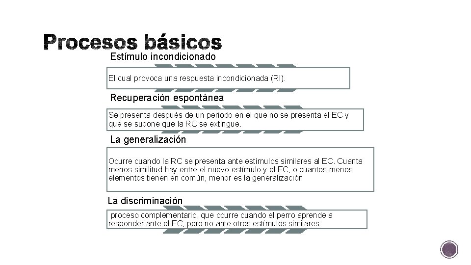 Estímulo incondicionado El cual provoca una respuesta incondicionada (RI). Recuperación espontánea Se presenta después