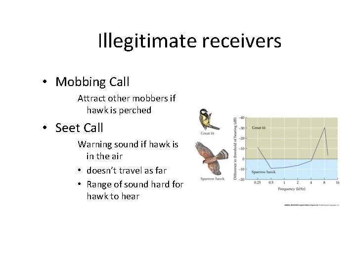 Illegitimate receivers • Mobbing Call Attract other mobbers if hawk is perched • Seet