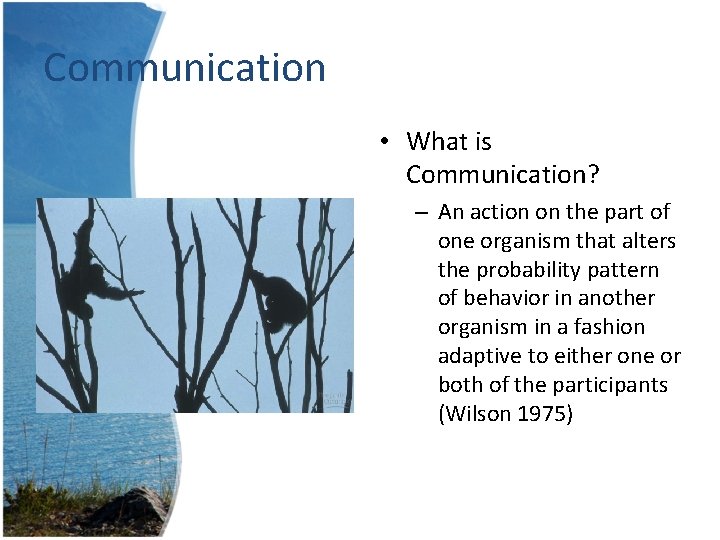 Communication • What is Communication? – An action on the part of one organism