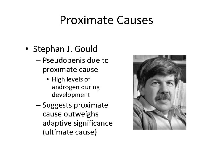 Proximate Causes • Stephan J. Gould – Pseudopenis due to proximate cause • High