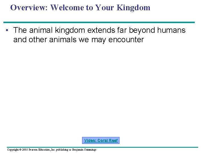 Overview: Welcome to Your Kingdom • The animal kingdom extends far beyond humans and