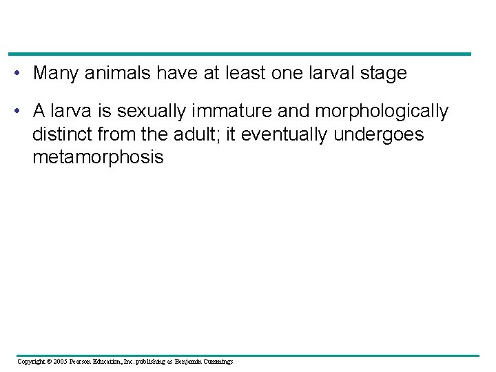  • Many animals have at least one larval stage • A larva is