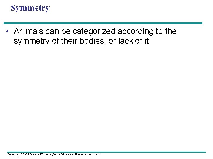 Symmetry • Animals can be categorized according to the symmetry of their bodies, or