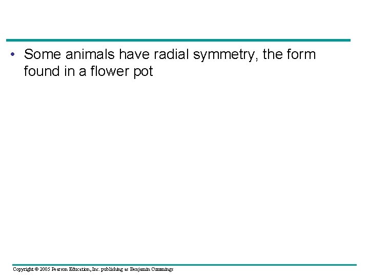  • Some animals have radial symmetry, the form found in a flower pot