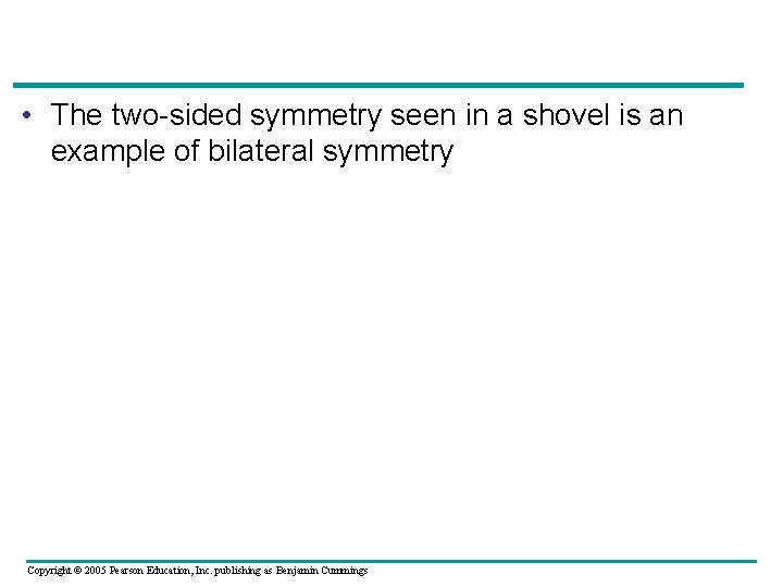  • The two-sided symmetry seen in a shovel is an example of bilateral