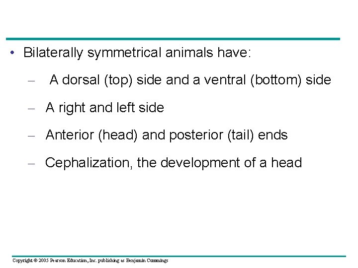  • Bilaterally symmetrical animals have: – A dorsal (top) side and a ventral