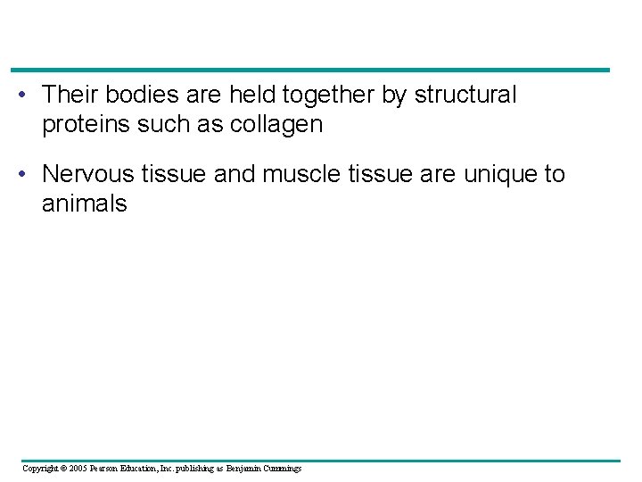  • Their bodies are held together by structural proteins such as collagen •