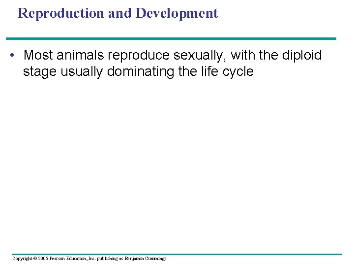 Reproduction and Development • Most animals reproduce sexually, with the diploid stage usually dominating