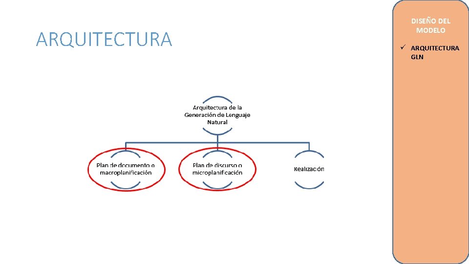 ARQUITECTURA DISEÑO DEL MODELO ü ARQUITECTURA GLN 