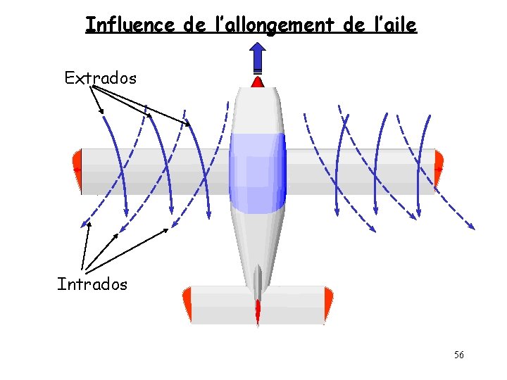 Influence de l’allongement de l’aile Extrados Intrados 56 