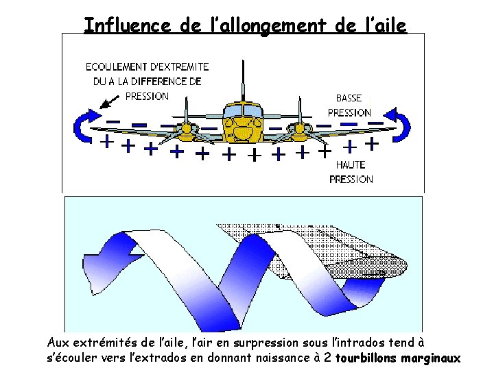 Influence de l’allongement de l’aile Aux extrémités de l’aile, l’air en surpression sous l’intrados