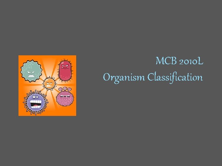 MCB 2010 L Organism Classification 