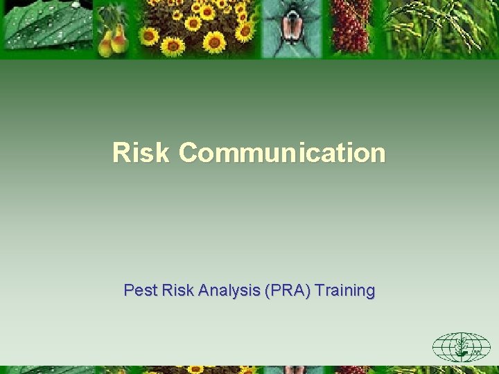 Risk Communication Pest Risk Analysis (PRA) Training 