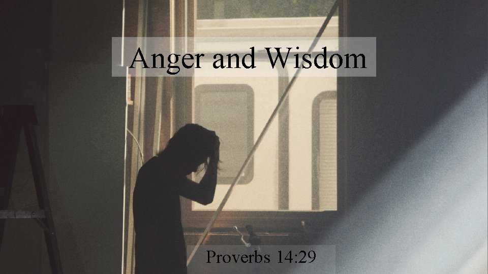 Anger and Wisdom Proverbs 14: 29 