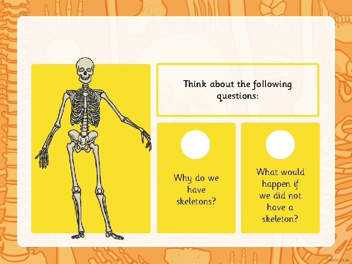 Think about the following questions: Why do we have skeletons? What would happen if