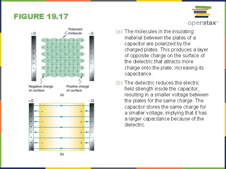 FIGURE 19. 17 (a) The molecules in the insulating material between the plates of