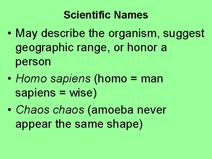 Scientific Names • May describe the organism, suggest geographic range, or honor a person
