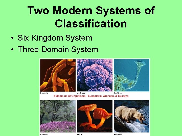 Two Modern Systems of Classification • Six Kingdom System • Three Domain System 