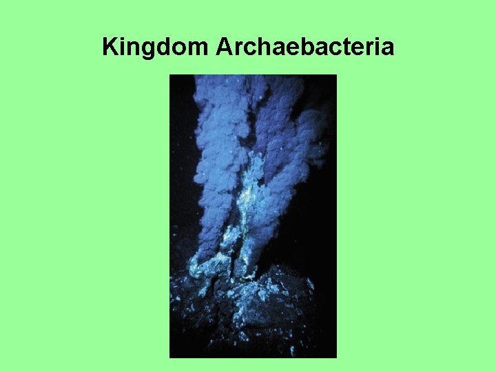 Kingdom Archaebacteria 