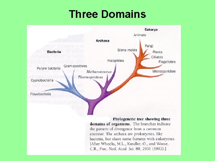 Three Domains 