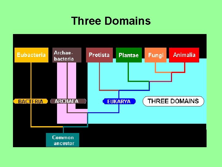 Three Domains 