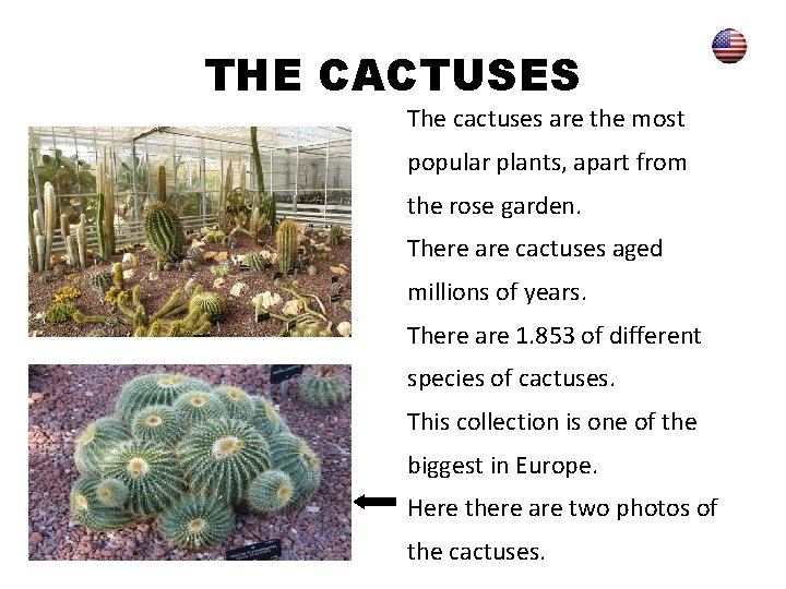 THE CACTUSES The cactuses are the most popular plants, apart from the rose garden.