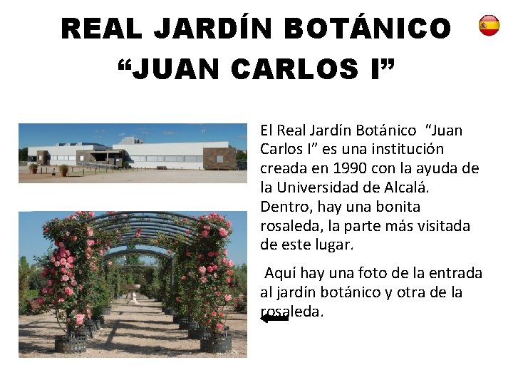 REAL JARDÍN BOTÁNICO “JUAN CARLOS I” El Real Jardín Botánico “Juan Carlos I” es
