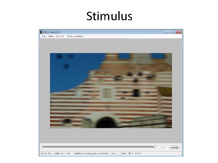 Stimulus Stimulus