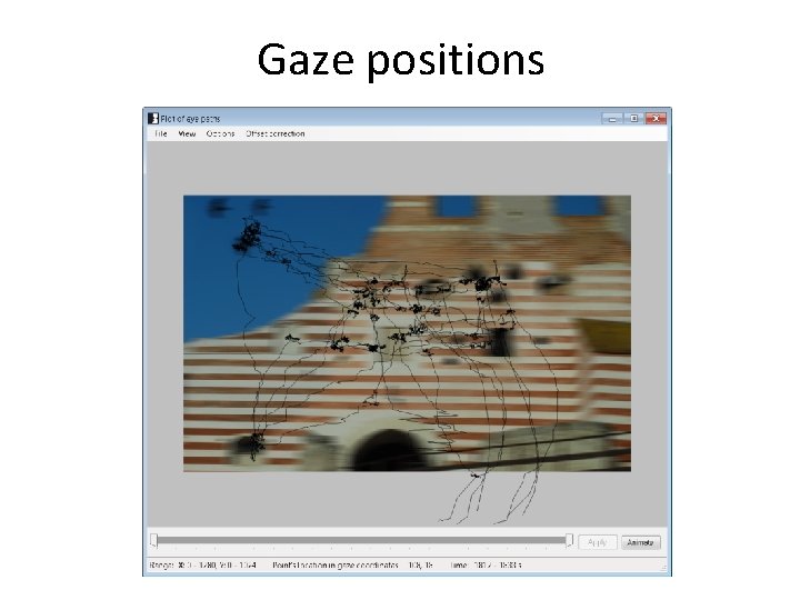 Gaze positions Gaze positions