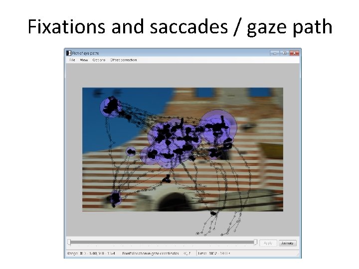 Fixations and saccades / gaze path Fixations and saccades / gaze path