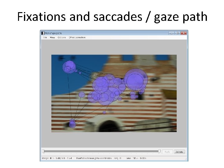 Fixations and saccades / gaze path Fixations and saccades / gaze path
