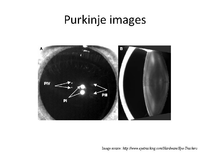 Purkinje images Image source: http: //www. eyetracking. com/Hardware/Eye-Trackers Purkinje images Image source: http: //www. eyetracking. com/Hardware/Eye-Trackers