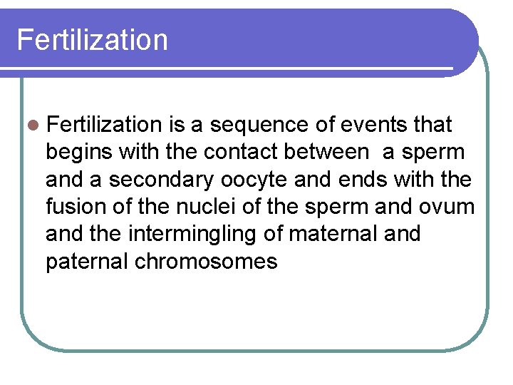 Fertilization l Fertilization is a sequence of events that begins with the contact between